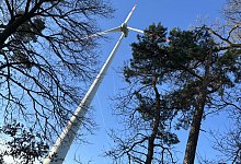 img_8249 - Symbolfoto: Jens Reddeker