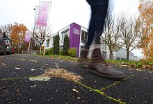 Taoasis - Vera Gerstendorf-Welle