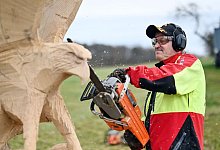 Kettensägen-Holzschnittkünstler Dieter Binder - Uli Deck/dpa