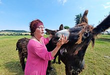 miw-esel-5 - Michaela Wei&szlig;e(LZ)