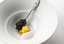 Amuse-Gueule des Zweisternerestaurants «Aura» - Pieter D\\\'Hoop/Matthaes/dpa-tmn