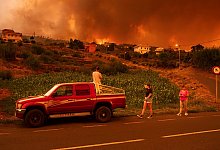 Waldbrände auf Teneriffa - Arturo Rodriguez/AP/dpa