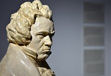 Beethoven - Foto: Herbert Neubauer/apa/dpa