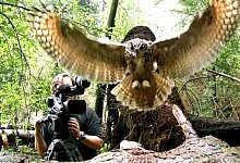 05-big-13352580-0-600-340-neu - Robin Jaehne