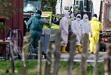 Gefl&uuml;gelpest am Niederrhein - Bernd Thissen/dpa