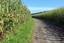 Wirtschaftswege - Symbolbild: Pixabay