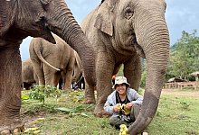 Elefantenflüsterin Saengduean «Lek» Chailert - Carola Frentzen/dpa