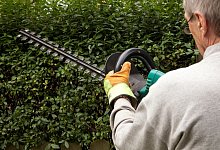 Heckenschnitt - Foto: Kai Remmers