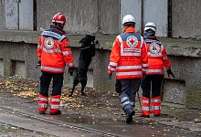 Fortsetzung der Suche nach Achtjährigem aus Güstrow - Stefan Sauer/dpa