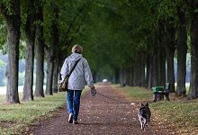 Spazierg&auml;ngerin mit Hund - Foto: Sebastian Gollnow