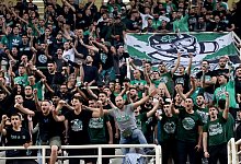 Panathinaikos-Fans - Yorgos Karahalis/dpa