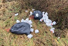 Müll in Kalldorf - Fotorechte: LZ