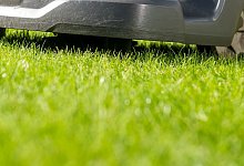 Test: Kaum ein M&auml;hroboter macht vor Kinderarmen halt - Benjamin Nolte/dpa-tmn/dpa