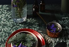 Weihnachtliche D&uuml;fte - Foto: Pflanzenfreude.de/dpa-tmn