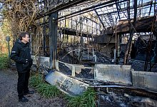 &Uuml;berreste des Affenhauses - Foto: Christoph Reichwein/dpa