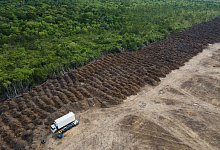 Amazonas verliert in 40 Jahren Fläche größer als Spanien - Fernando Souza/ZUMA Press Wire/dpa