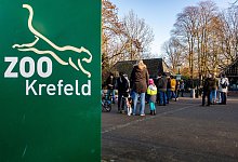 Krefelder Zoo - Christoph Reichwein/dpa