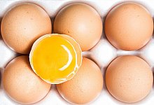 Eine Packung mit Eiern, darauf liegt ein aufgeschlagenes Ei - Franziska Gabbert/dpa-tmn/dpa