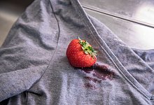 Eine Erdbeere liegt auf einem T-Shirt - Christin Klose/dpa-tmn