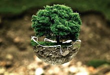 Naturschutz - Pixabay