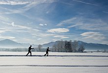 Skilangl&auml;ufer in den Bergen - Tobias Hase/dpa-tmn