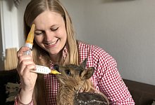 Rehkitz-Rettung - Till Brand