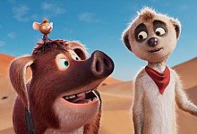 Kinostart - "Tafiti - Ab durch die Wüste" - -/Little Dream Pictures/dpa