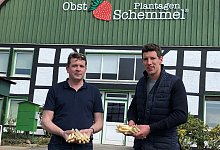 Spargel Schemmel und von Laer - Thomas Reineke