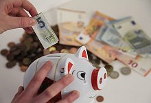 Sparschwein f&uuml;r Lipper - Vera Gerstendorf-Welle