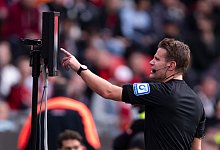 Schiedsrichter Felix Brych - Marius Becker/dpa