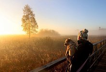 Frau bei Sonnenaufgang am Federsee - Thomas Warnack/dpa/dpa-tmn