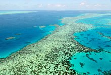 Great Barrier Reef - Foto: Uncredited/Kyodo News via AP/dpa