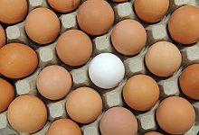 21657518 - picture alliance / ZB