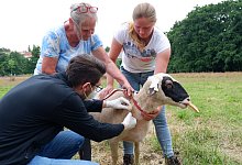 dscf4672 - Lorraine Brinkmann