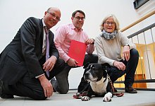 Tierheim - Nadine Uphoff