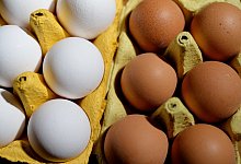 Eier - picture alliance / Frank May