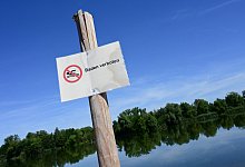 Badeverbot im Buga-See wegen Blaualgen - Uwe Zucchi/dpa