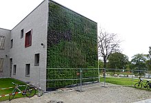 OL-L&Uuml; gr&uuml;ne Fassade Sekundarschle - Marius Luwe