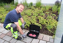 La Rattenbek&auml;mpfung - Cordula Gr&ouml;ne