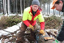 Borkenk&auml;fer - Sigrun M&uuml;ller-Gerbes