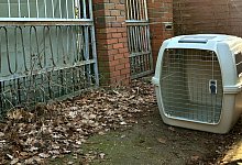 hundi - 1 - Christian Br&ouml;der