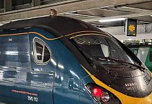 Katze auf einem Zug - Foto: Network Rail/PA Media/dpa