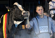 &laquo;Lady Gaga&raquo; - Foto: Markus Hibbeler/dpa