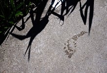 CO2-Fußabdruck - Foto: Annette Riedl/dpa/dpa-tmn