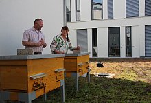 Imkerverein Lage - Katrin Kantelberg