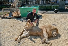 Circus Krone - Andreas Zobe