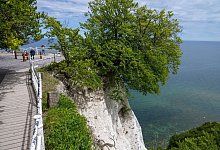 Der Königsstuhl im Nationalpark Jasmund auf der Insel Rügen gehört zu den berühmtesten Touristenattraktionen in Deutschland. Am 25. September soll der Aussichtspunkt auf dem 118 Meter hohen Felsen schließen. - Stefan Sauer/dpa