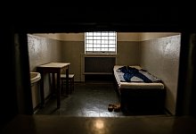 Zelle - Foto: Paul Zinken