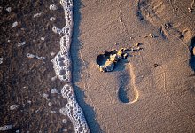 Fu&szlig;spuren im Sand - Foto: Stefan Sauer/dpa-Zentralbild/dpa-tmn