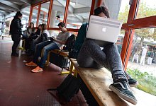 Studentin arbeitet am Notebook - Felix K&auml;stle/dpa-tmn